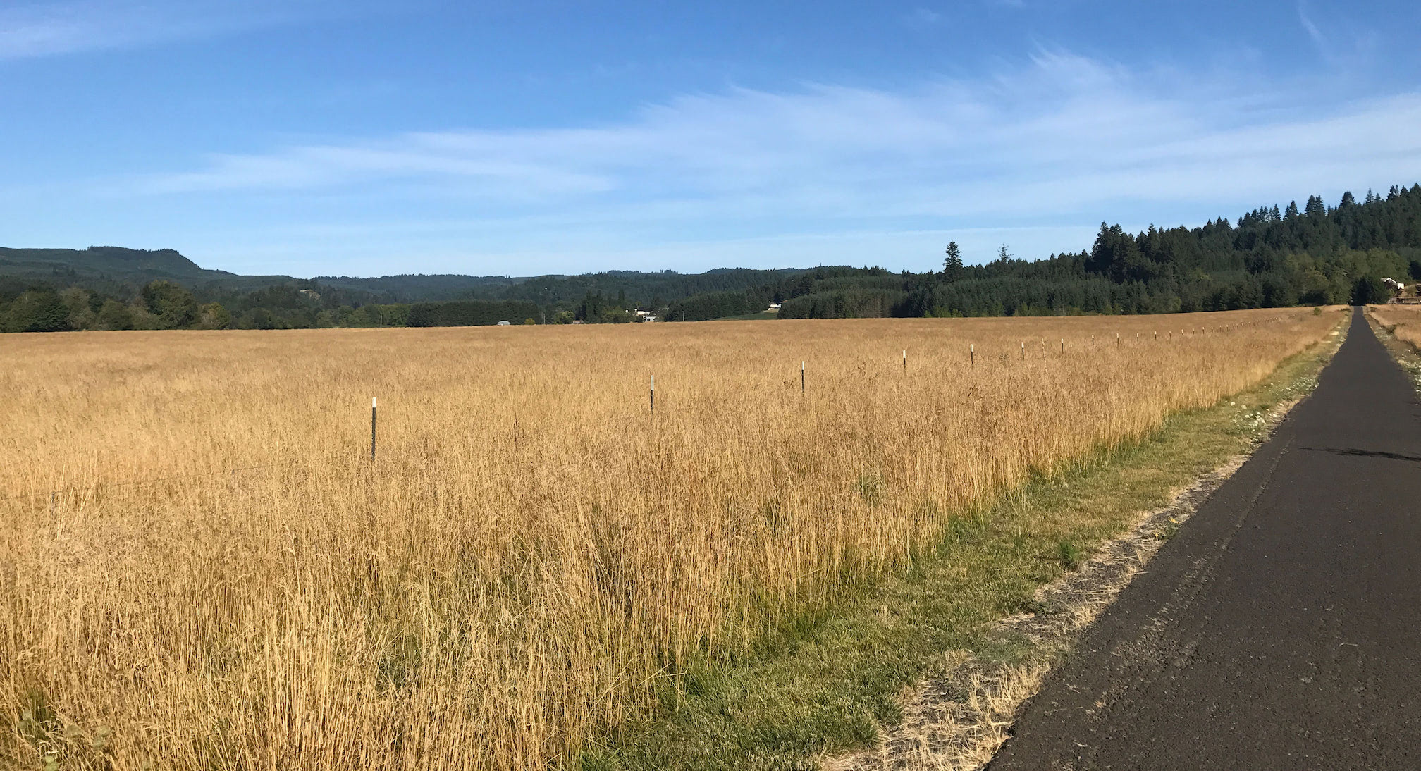 Banks-Vernonia Trail