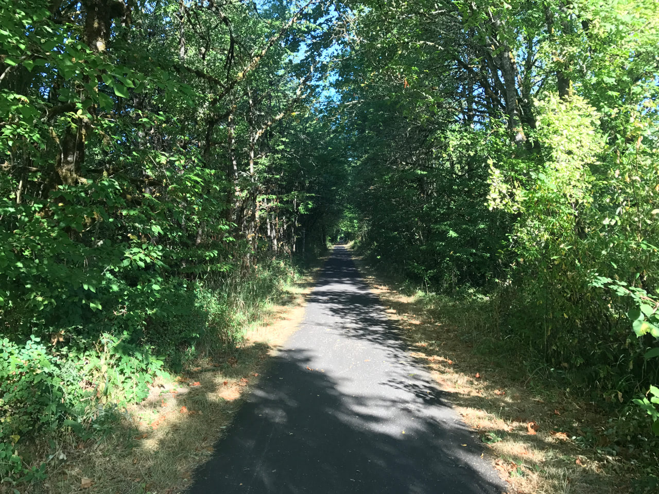 Banks-Vernonia Trail