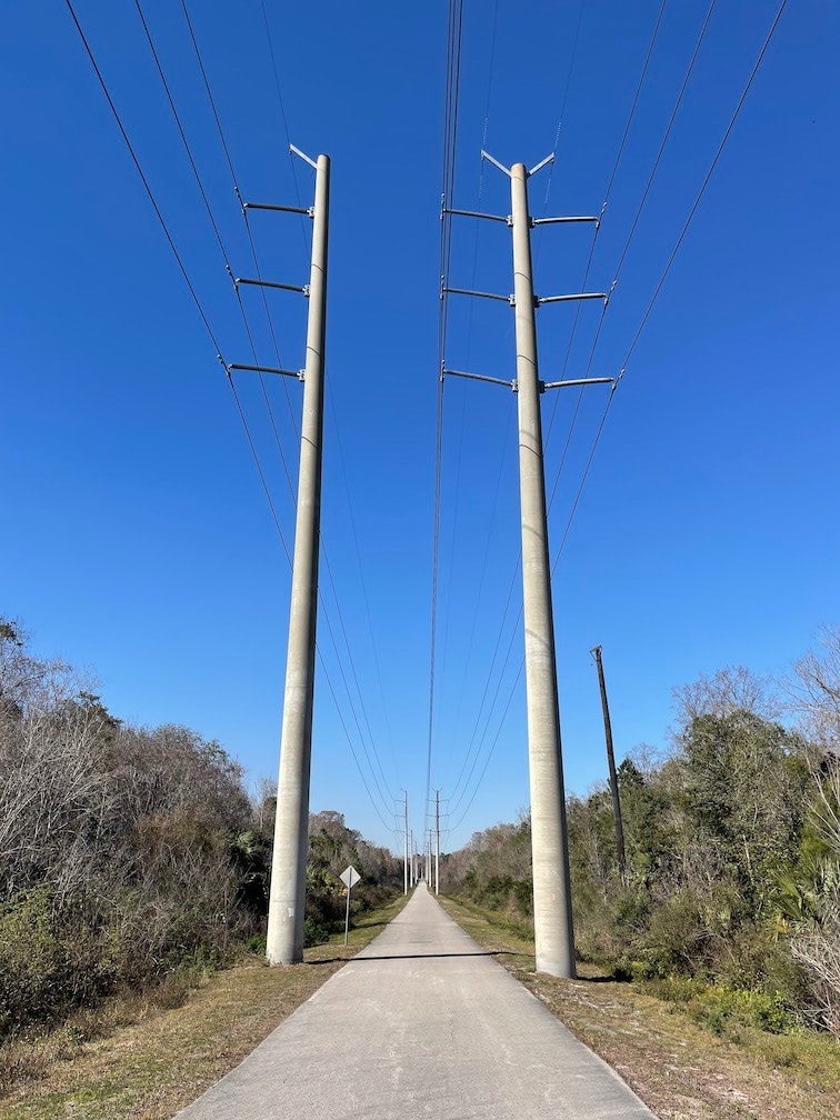 Power Lines