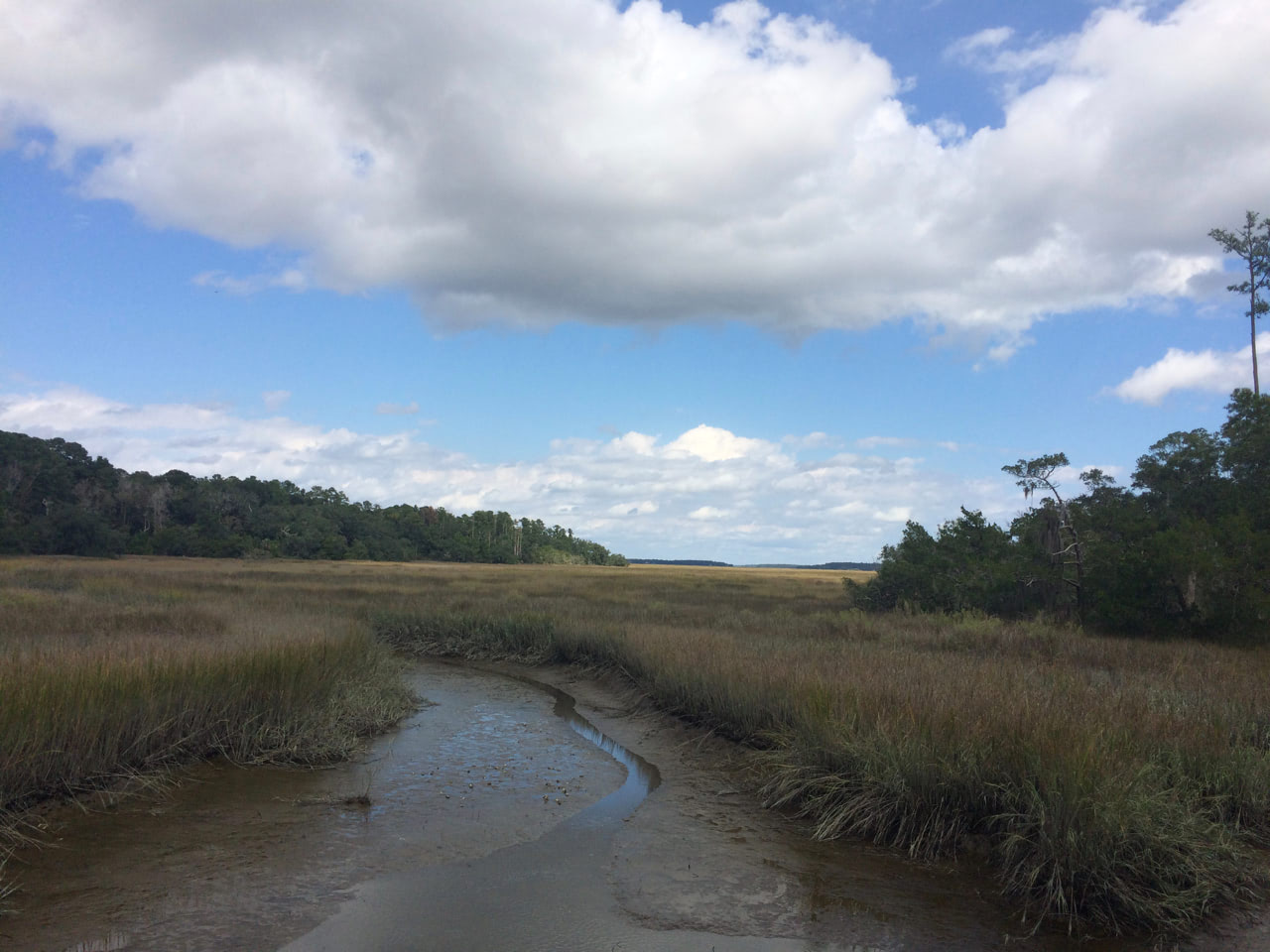 Some creek bed