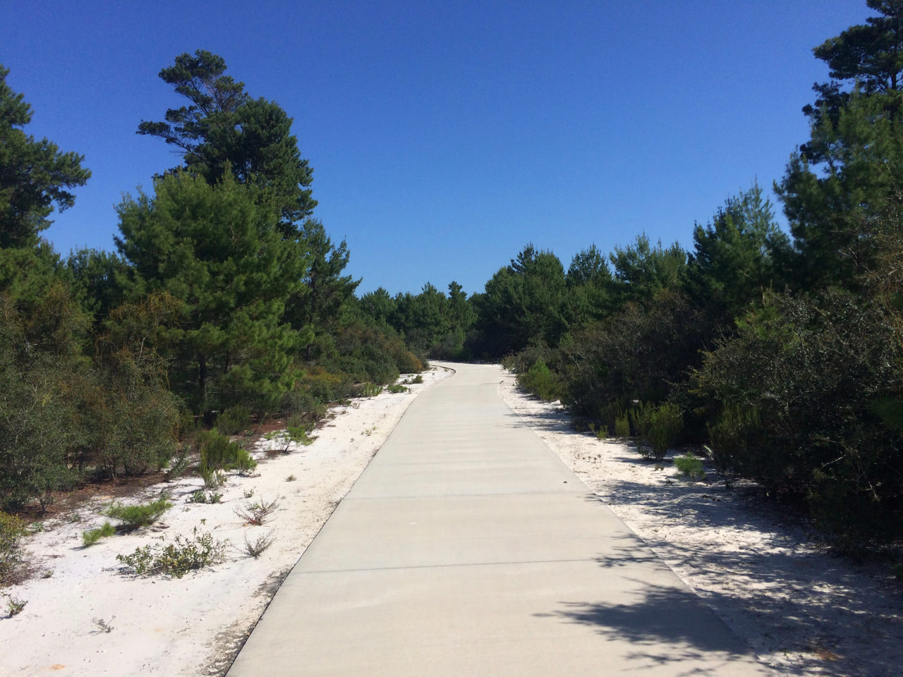 Hobe Sound trail