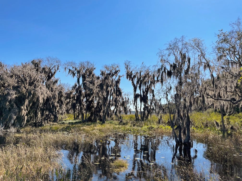 Lake Minneola